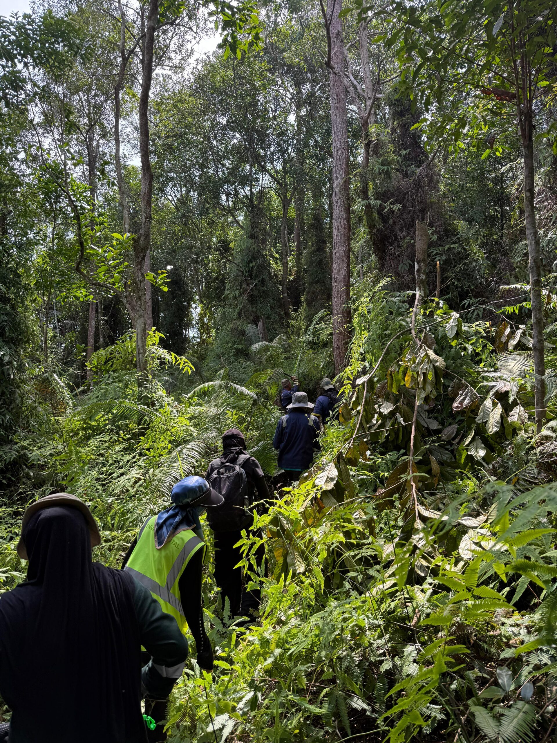PPI team working in a forest environment